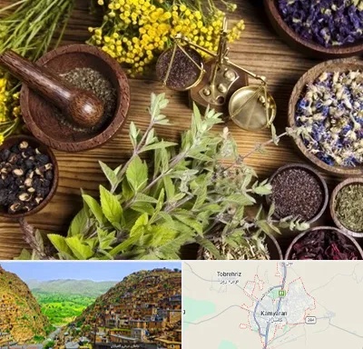 دکتر طب سنتی خانم در کامیاران