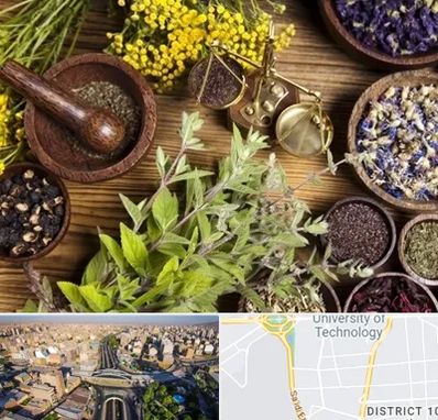 دکتر طب سنتی خانم در استاد معین 