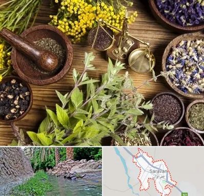 دکتر طب سنتی خانم در سراوان