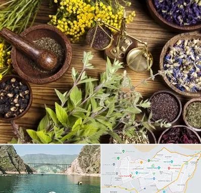 دکتر طب سنتی خانم در ایلام