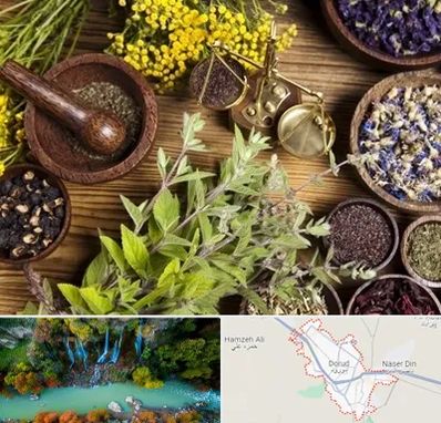 دکتر طب سنتی خانم در دورود