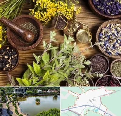 دکتر طب سنتی خانم در لنگرود