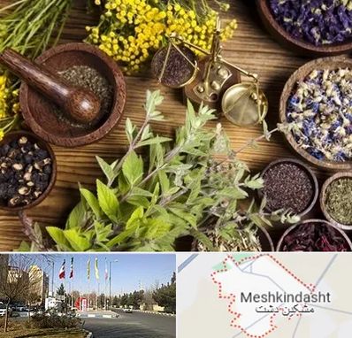 دکتر طب سنتی خانم در مشکین دشت