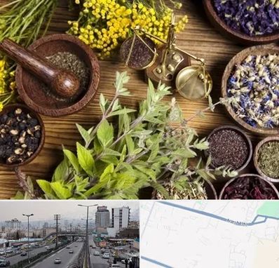 دکتر طب سنتی خانم در بلوار ارتش