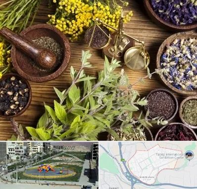 دکتر طب سنتی خانم در مرزداران تبریز