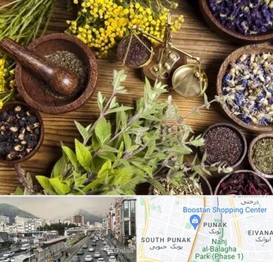 دکتر طب سنتی خانم در پونک 