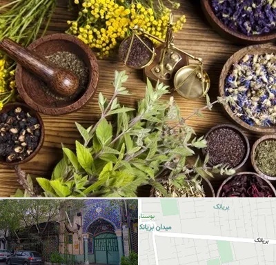 دکتر طب سنتی خانم در بریانک