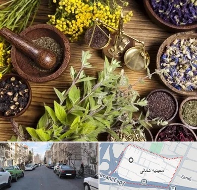 دکتر طب سنتی خانم در مجیدیه شمالی