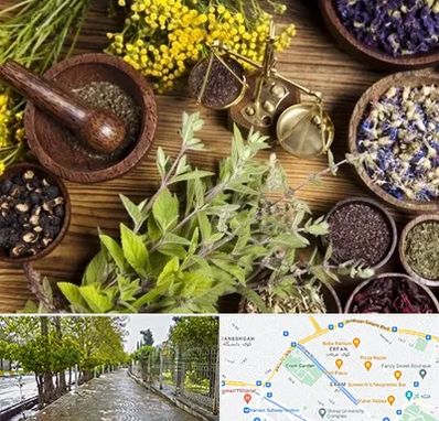 دکتر طب سنتی خانم در خیابان ارم شیراز 