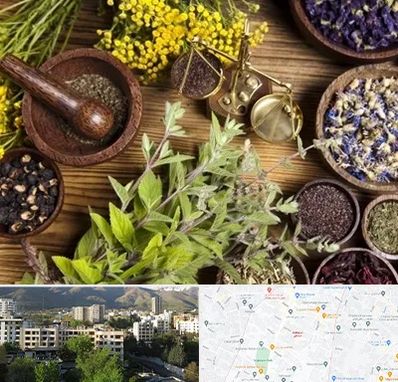 دکتر طب سنتی خانم در دیباجی 