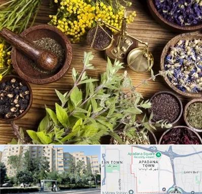 دکتر طب سنتی خانم در آپادانا