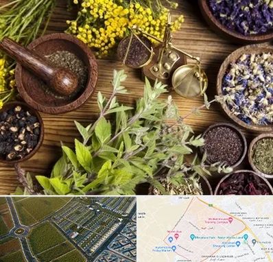 دکتر طب سنتی خانم در الهیه مشهد 