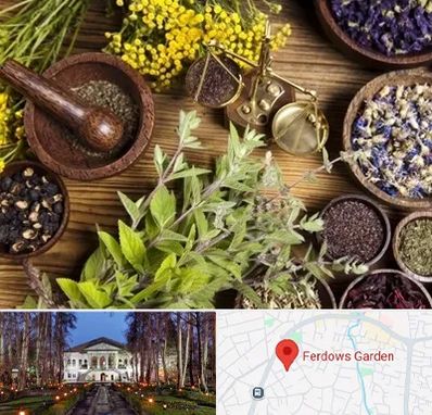 دکتر طب سنتی خانم در باغ فردوس