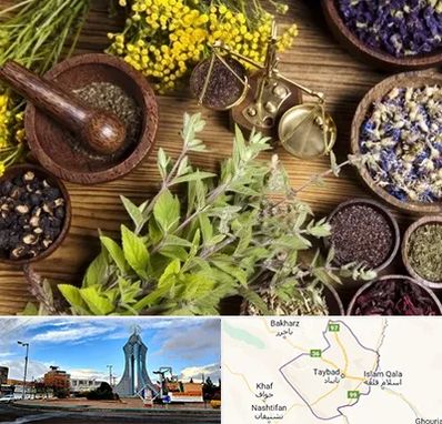 دکتر طب سنتی خانم در تایباد