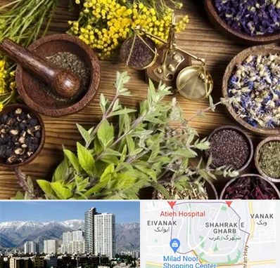 دکتر طب سنتی خانم در شهرک غرب 