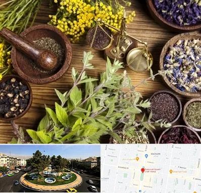 دکتر طب سنتی خانم در هفت حوض 