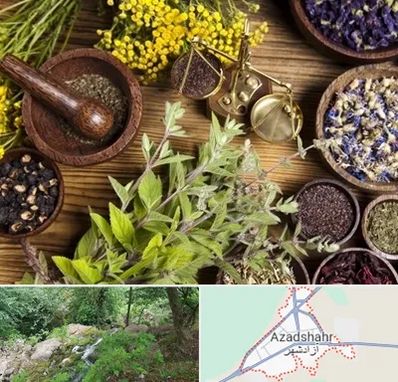 دکتر طب سنتی خانم در آزادشهر