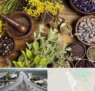 دکتر طب سنتی خانم در اندیمشک