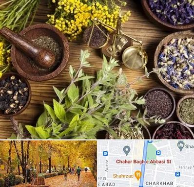 دکتر طب سنتی خانم در چهارباغ اصفهان 