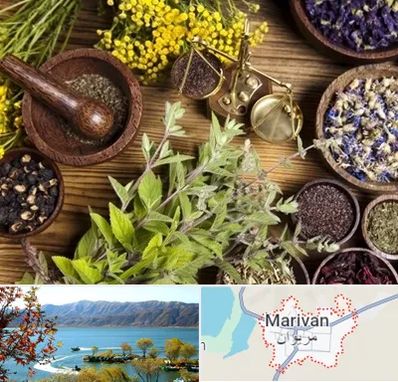 دکتر طب سنتی خانم در مریوان