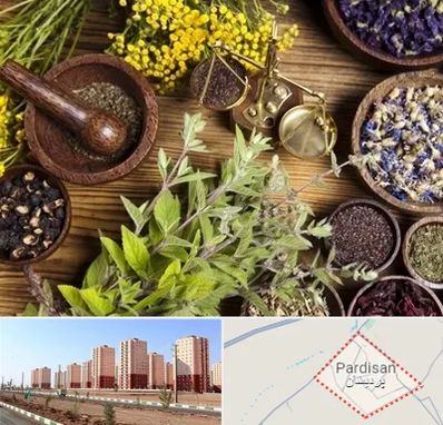 دکتر طب سنتی خانم در پردیسان قم