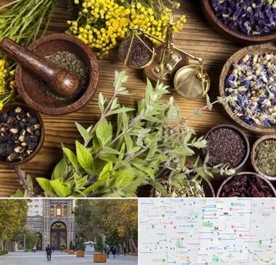 دکتر طب سنتی خانم در منطقه 12 تهران 