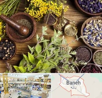 دکتر طب سنتی خانم در بانه