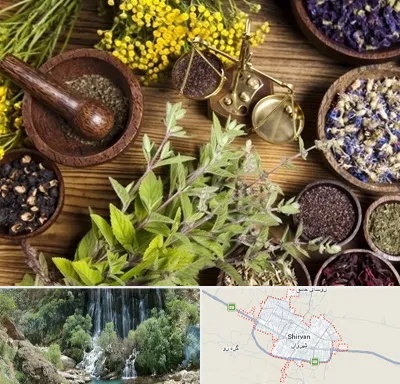دکتر طب سنتی خانم در شیروان