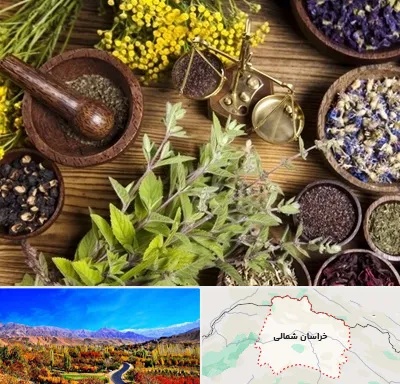 دکتر طب سنتی خانم در خراسان شمالی