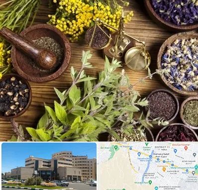 دکتر طب سنتی خانم در صیاد شیرازی مشهد 