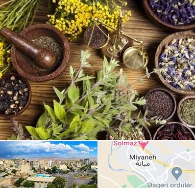 دکتر طب سنتی خانم در میانه