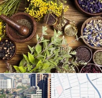 دکتر طب سنتی خانم در خیابان بهشتی