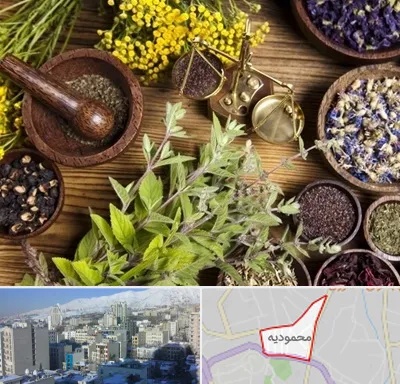 دکتر طب سنتی خانم در محمودیه