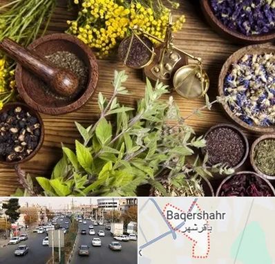 دکتر طب سنتی خانم در باقرشهر