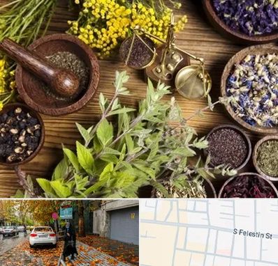 دکتر طب سنتی خانم در خیابان فلسطین