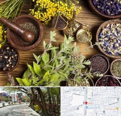 دکتر طب سنتی خانم در خیابان توحید اصفهان 