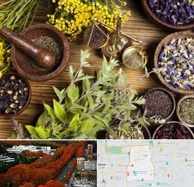 دکتر طب سنتی خانم در منطقه 6 تهران 