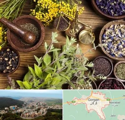 دکتر طب سنتی خانم در گرگان
