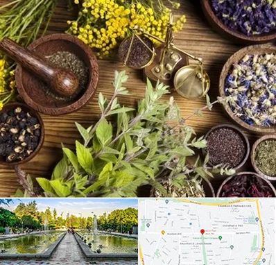 دکتر طب سنتی خانم در سرسبز 