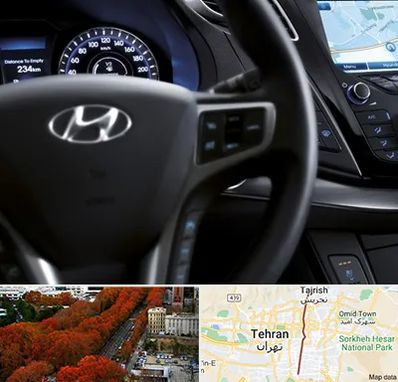 لوازم یدکی هیوندایی در ولیعصر 