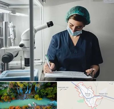 دکتر اورولوژیست خانم در دورود