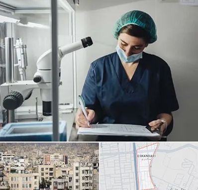 دکتر اورولوژیست خانم در اسکندری