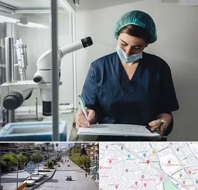 دکتر اورولوژیست خانم در خیابان زند شیراز 