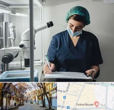 دکتر اورولوژیست خانم در تربیت تبریز