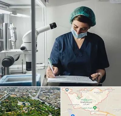 دکتر اورولوژیست خانم در شهرکرد