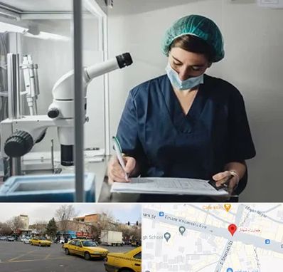 دکتر اورولوژیست خانم در شهناز تبریز