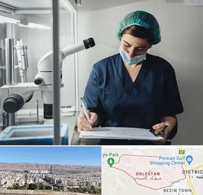 دکتر اورولوژیست خانم در شهرک گلستان شیراز 