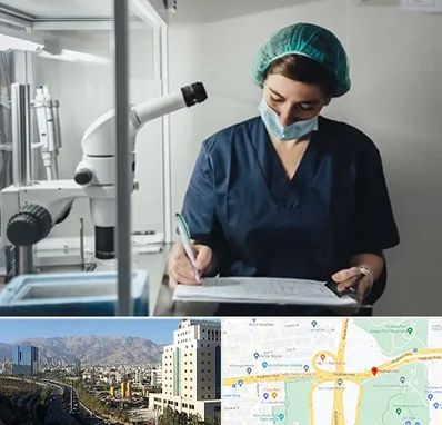 دکتر اورولوژیست خانم در حقانی 