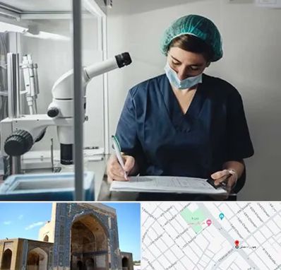 دکتر اورولوژیست خانم در مصلی مشهد