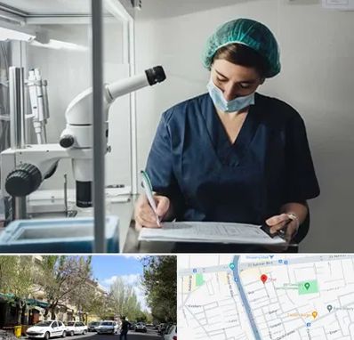 دکتر اورولوژیست خانم در کوی فیروز تبریز